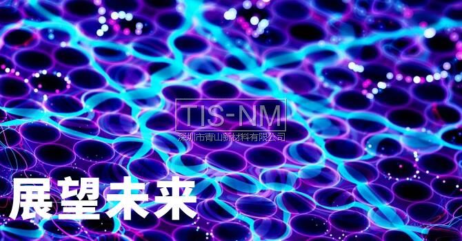 納米技術未來 納米技術未來